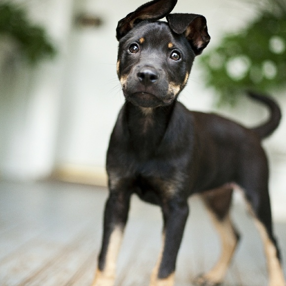 Meet Your Seller TINA!! 😍 - Picture 7 of 7